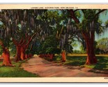 Amanti Lane Audobon Park Nuovo Orleans La Louisiana Unp Lino Cartolina N24 - $3.37