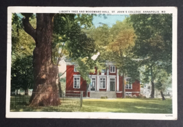 Liberty Tree &amp; Woodard Hall St Johns College Annapolis Maryland Postcard c1930s - £3.94 GBP