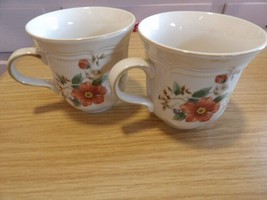 Set Of 2 Mikasa Heritage Olde Tapestry F2010 Capistrano Coffee Cups - £3.54 GBP