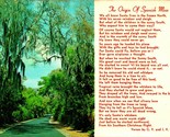 Origin of Spanish Moss Poem CV &amp; IV Bush Florida FL Chrome Postcard - £3.12 GBP