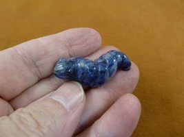 (Y-CATE-570) little blue Sodalite baby INCH WORM CATERPILLAR gemstone fi... - $27.35 CAD