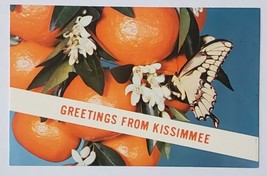 Postcard Greetings From Kissimmee Giant Swallowtail Butterfly on Tangerines  - £3.70 GBP