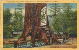 Linen Postcard CA N225 World Famous Tree House Park Redwood High 1952 Cancel - £4.43 GBP