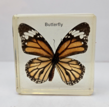 Vintage Real Tiger Butterfly Specimen in Resin Danaus Genutia Insects Sc... - $14.99