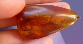 Jewelry Honey Cognac Natural Baltic Amber cabochon pendant 17g w. insect... - £117.02 GBP