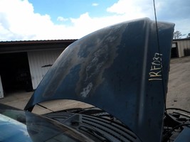 Hood Fits 04-08 FORD F150 PICKUP 104850678 - $6,395.53 MXN