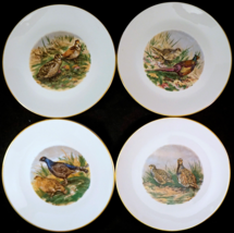 4 Wild Game Bird Porcelain Plates Schumann Arzberg Germany Pheasant Quai... - £40.05 GBP