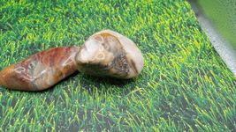 Jasper &amp; Breccoated Jasper - ( 2 ) Pieces - - $34.91 CAD