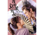 Mr. Bad (2022) Chinese Drama - £54.13 GBP