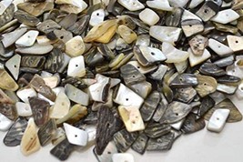 natural black lip ocean shell chip bead lot aprox 750 to 900 beads KK88 - $12.34