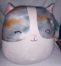 Squishmallows Pax the Hamster12&quot; NWT - £22.92 GBP