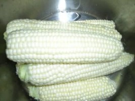 Country Gentleman White Corn Vegetable 100 Seeds #SFB11 - $20.17