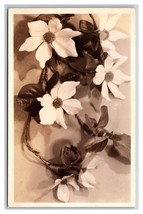 RPPC Dogwood Flower Blossoms UNP Postcard K17 - £4.49 GBP