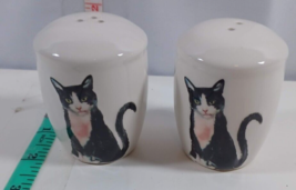 black and white cat salt and Pepper shakers one white jar good - $5.94