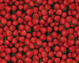 Cotton Strawberries Strawberry Fruits Foods Cooking Fabric Print BTY D57... - $14.95