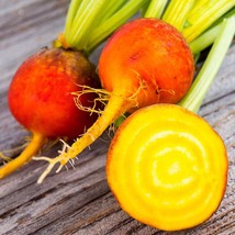 USA Seller Golden Detroit Beet Seeds Yellow Beets Orange Beetroot Gold Sunset Tu - £7.47 GBP