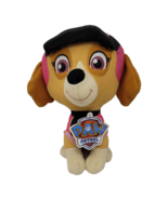 Paw Patrol Skye Plush 12&quot; Cuddle Pillow Spin Master This Pups Gotta Fly New - £17.36 GBP