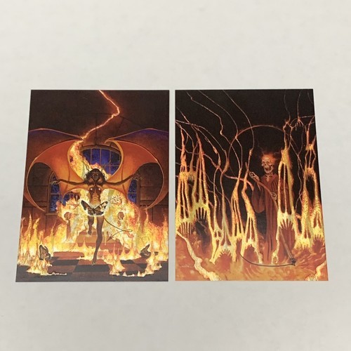 1994 DON MAITZ CHASE CARD  LOT OF 2 URINE TROUBLE REAPER MS1 MS2 CV JD - $11.88