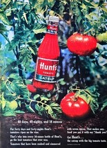 Hunts Tomato Catsup Leaves Trees outdoors condiments-1964 Vintage Print Ad - $9.10