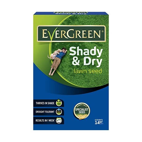 Scotts Miracle-Gro EverGreen Shady Lawn Grass Seed Carton, 420 g  - $28.00