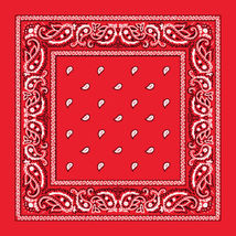 Red - 12 Pcs Scarf Paisley Print Bandana Head Wrap 100% Cotton Headband - £24.11 GBP