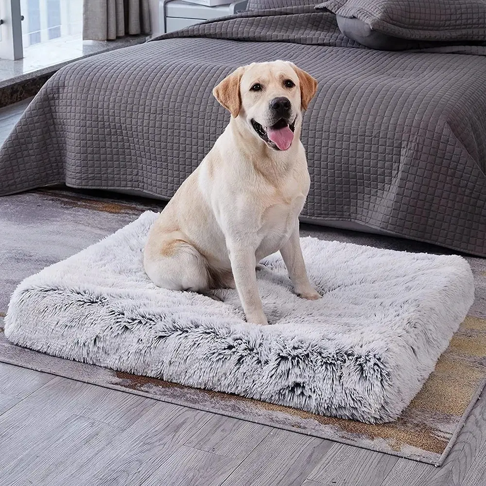 Long Plush Dog Bed with Non-slip Bottom Orthopedic Foam Dog Bed Removable Cover - £9.89 GBP+