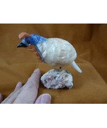 (Y-BIR-QU-45) Quail tan white blue bird gemstone STONE figurine Peru quails - $765.07 MXN