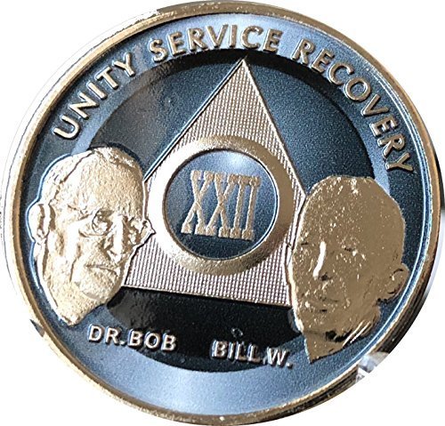 22 Year AA Founders Medallion Titanium Nickel Plated Anniversary Chip XXII
