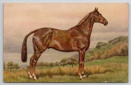 Artist Signed Alderson Horse in Field Portrait Postcard D26 - £6.28 GBP