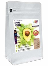 Freeze-dried AVOCADO POWDER size (100g / 3.53 oz) stand-up pouch bag  - £26.27 GBP