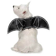 Dog Bat Wing Halloween Costume Harness Scary Glow in The Dark Spooky 3D Wingspan - £23.45 GBP