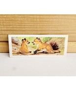 Vintage National Biscuit Co (Nabisco) Mini Trade Card 1969 S7N11 Red Fox - $371.27 MXN