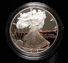 2006-W Proof Silver American Eagle 1 oz coin w/ box &amp; COA - £68.15 GBP