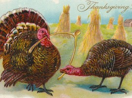 Tom &amp; Hen Turkeys With Wishbone &amp; Corn Shocks Antique Thanksgiving Postcard - £5.97 GBP