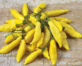 VC Lemon Drop Pepper Seeds Easy Grow - $10.87