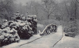 Snowy Winter SCENE-RUSTIC BRIDGE~1907 Rotograph Published Postcard - £8.04 GBP