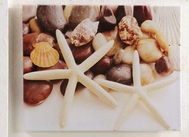 Starfish Shells Canvas Print Stretched Framed Nautical Indoor Outdoor 20... - $35.64