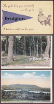 (3) Bridgton, Maine Pre-1915 Antique Postcards - Large Letter + Area Views - £9.64 GBP