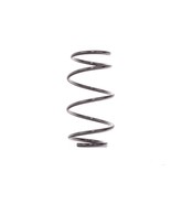 NEW HUDSON FRONT COIL SPRING BMW 1997-2000 528i, 525i 2001-2003, 530i 20... - $80.88 CAD