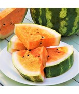 Tendersweet Orange Watermelon Fruit Tropical Orangeglo Water Melon New F... - $13.67 CAD