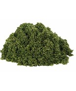 IPW Industries Inc Resintech MBD-30 Nuclear Grade Mixed Bed DI Resin, 5L... - $92.08 CAD