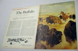 1961 Magazine Picture Native American Hunts Buffalo Illustrated by Douglas Allen - £11.19 GBP
