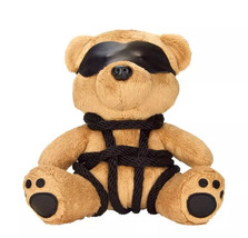 Bondage Bearz Billy Shibari BDSM Plush Teddy Bear Fetish Gifts Rope Play - $34.49 CAD