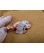 Y-TUR-SE-591) Red Rainbow Jasper SEA TURTLE gemstone figurine stone love... - $25.64 CAD