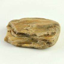 Petrified Wood South Dakota 14.1 oz 4” x 3" x 1" Stone Fossil Wooden Rock image 4