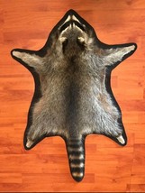 Beautiful tanned raccoon rug pelt hide skin throw rustic log cabin decor - $280.00