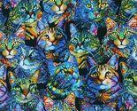 Cotton Cat Artistry Portraits Cats Kittens Black Fabric Print by Yard D3... - $14.95