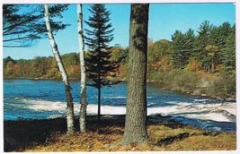 Postcard Algonquin Park Ontario - $2.96