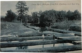 Vintage Post Card, Lower Pond, Michigan State Fish Hatchery, Reed City - £7.90 GBP