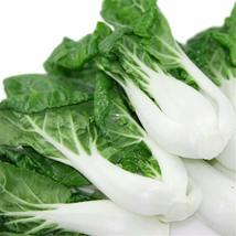 500+ Pak Choi Cabbage Seeds  White Stem Chinese NON-GMO USA  - £6.86 GBP